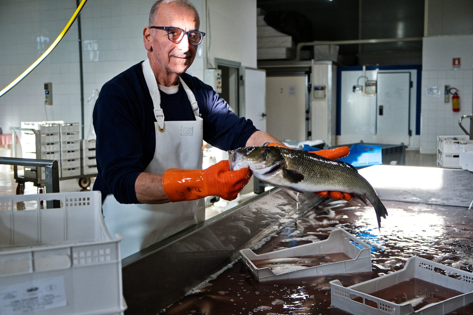 20 - consorzio-pontis-scelta-pesce0034-1 1