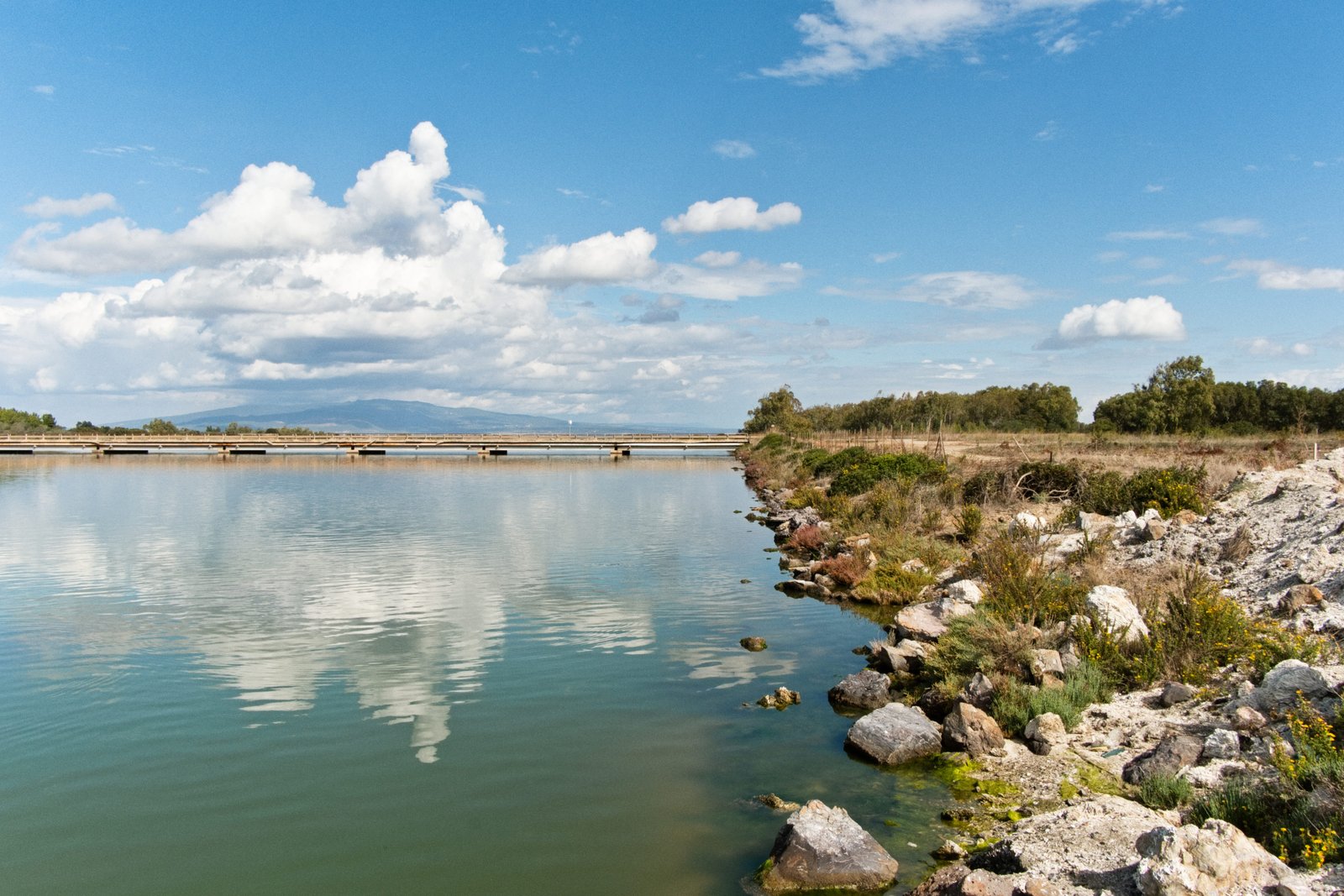 5 - paesaggi-stagni0003-1 1