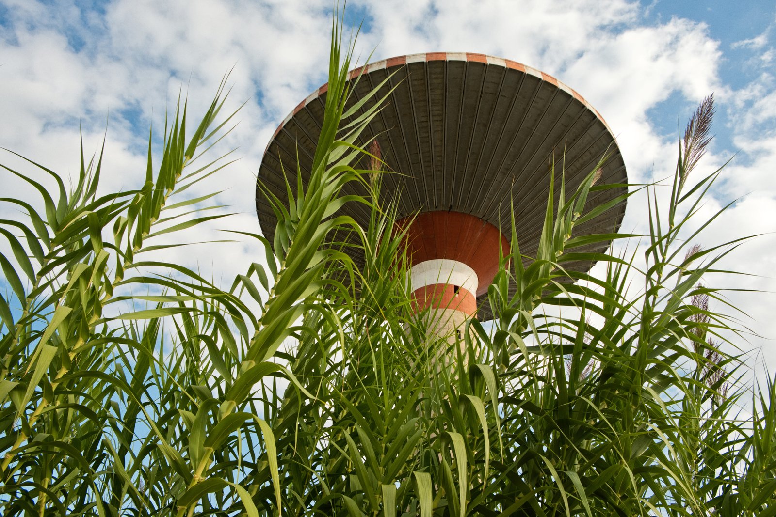6 - porto-industriale-oristano0014-1 1
